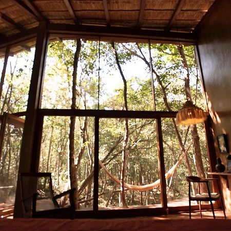 Ojo De Arbol, Boutique Cabin In The Real Jungle Tulum Bagian luar foto