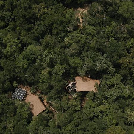 Ojo De Arbol, Boutique Cabin In The Real Jungle Tulum Bagian luar foto