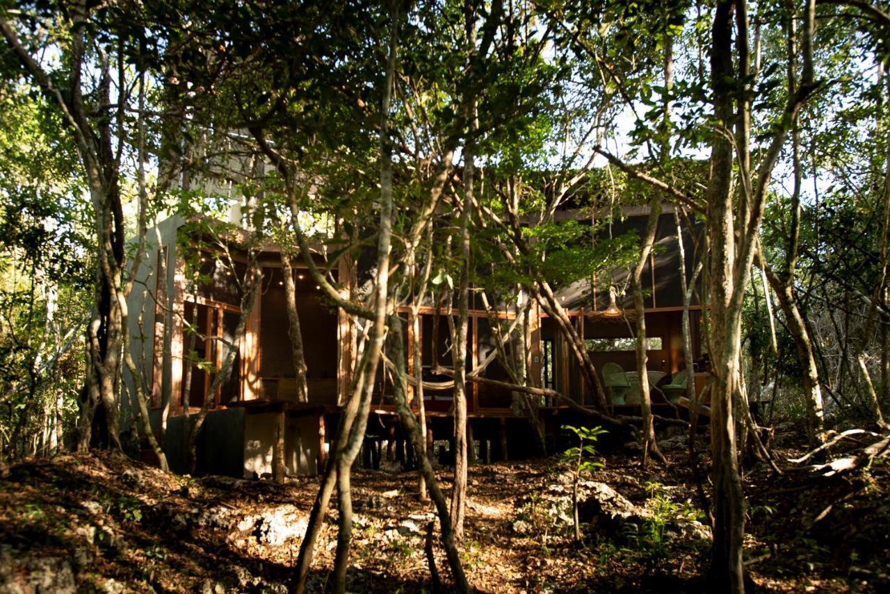 Ojo De Arbol, Boutique Cabin In The Real Jungle Tulum Bagian luar foto