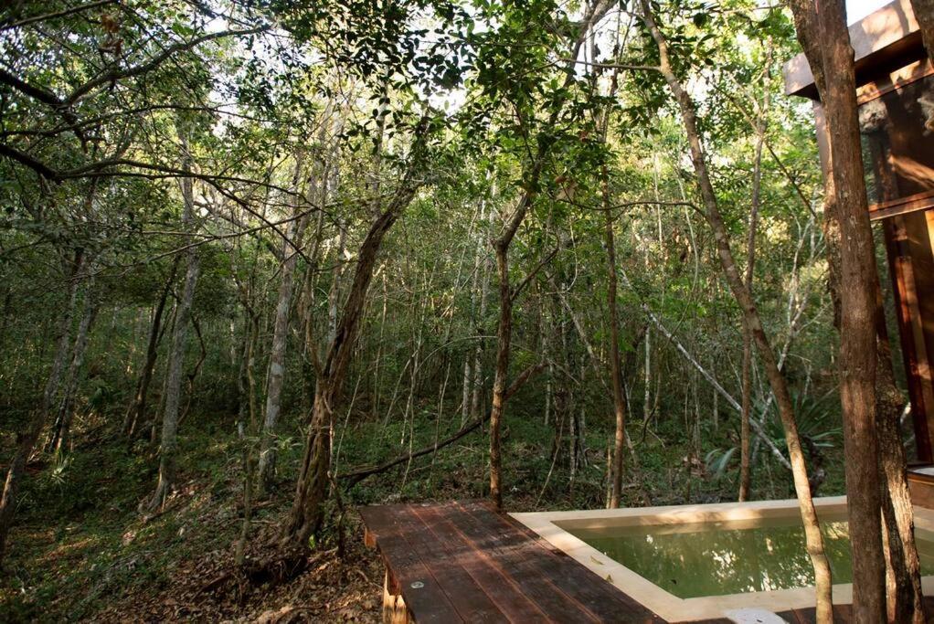 Ojo De Arbol, Boutique Cabin In The Real Jungle Tulum Bagian luar foto