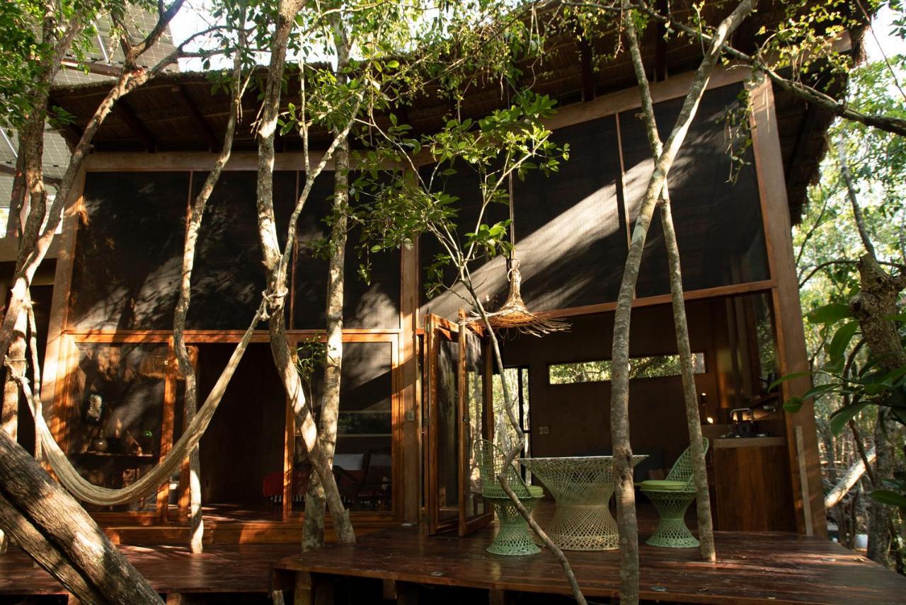 Ojo De Arbol, Boutique Cabin In The Real Jungle Tulum Bagian luar foto