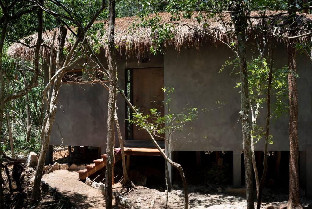 Ojo De Arbol, Boutique Cabin In The Real Jungle Tulum Bagian luar foto