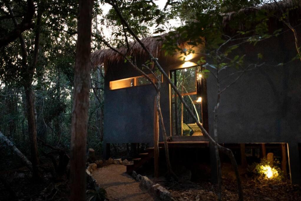 Ojo De Arbol, Boutique Cabin In The Real Jungle Tulum Bagian luar foto