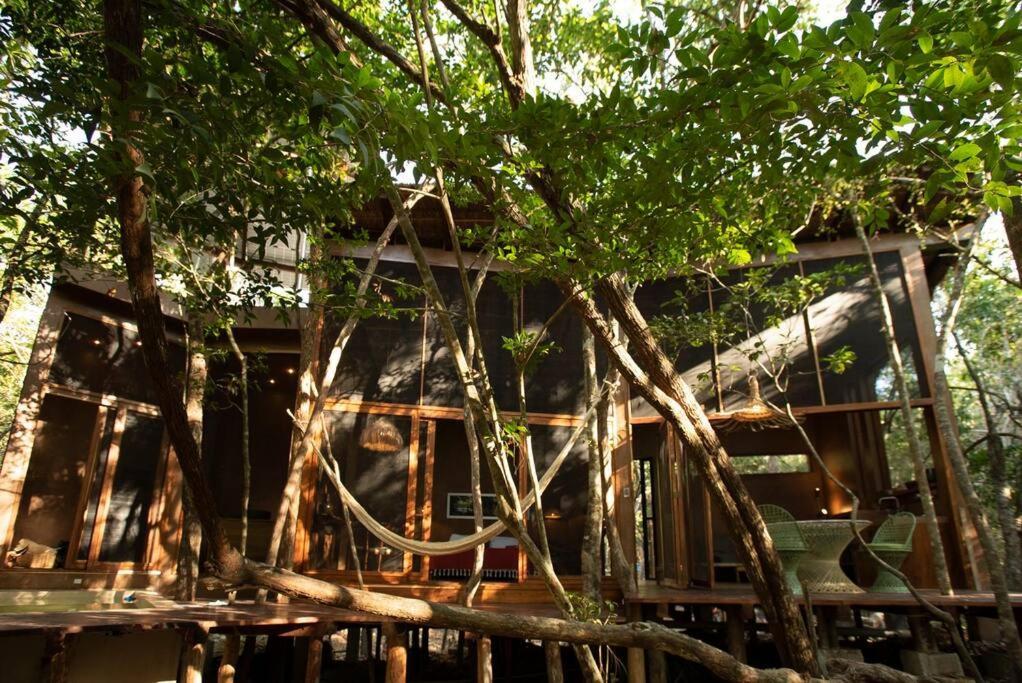 Ojo De Arbol, Boutique Cabin In The Real Jungle Tulum Bagian luar foto