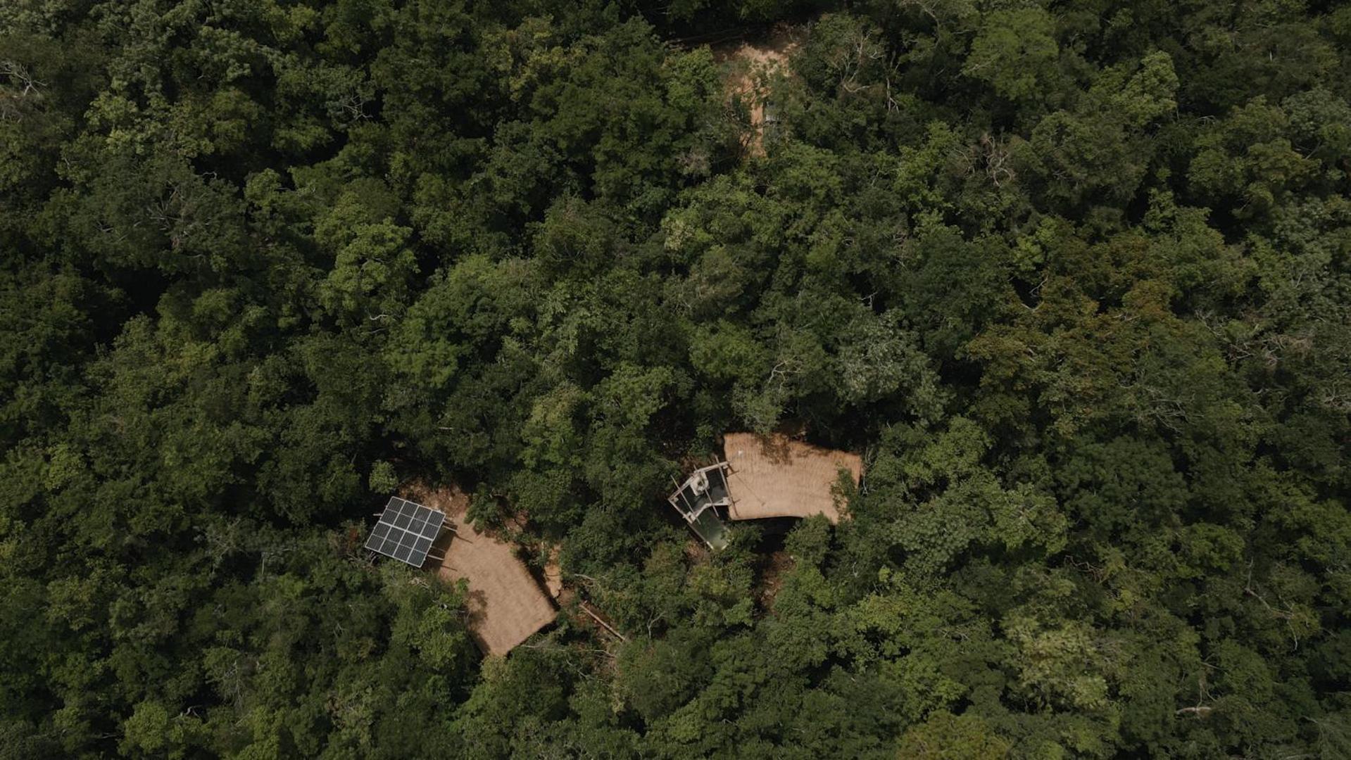 Ojo De Arbol, Boutique Cabin In The Real Jungle Tulum Bagian luar foto